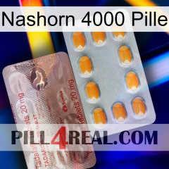 Rhino 4000 Pill new13
